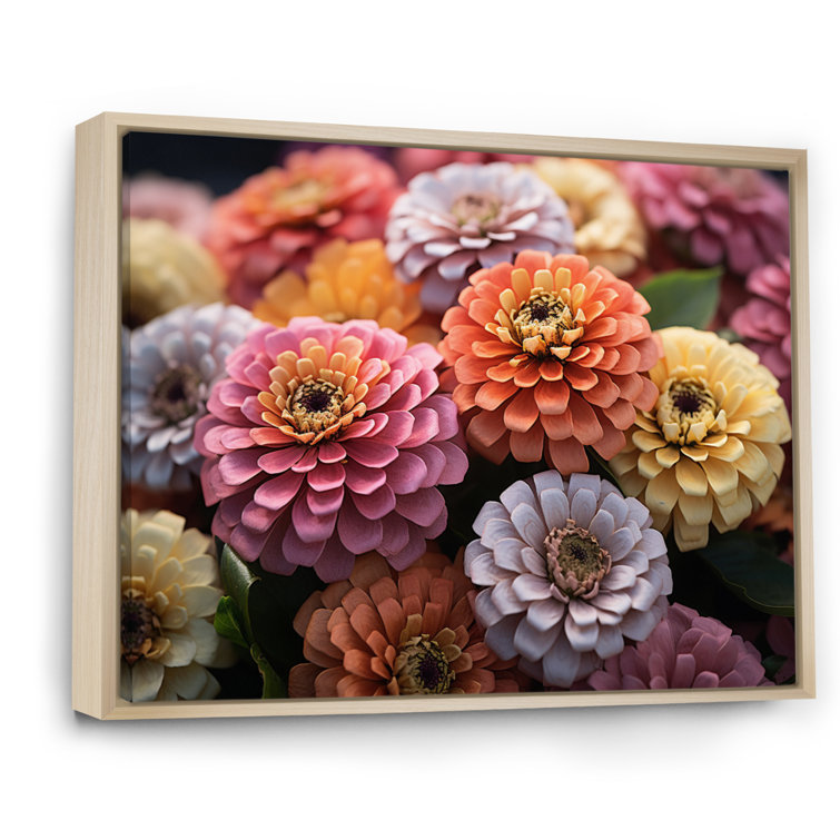 DesignArt Colorful Zinnias Field Vibrant Framed On Canvas Print Wayfair